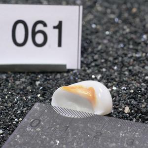 一点物 ヤドカリのお家 プレミアム 1個 ry061の詳細画像2