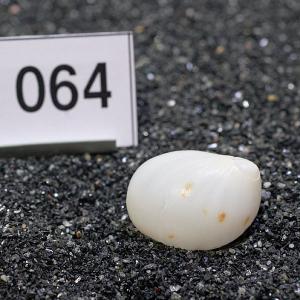 一点物 ヤドカリのお家 プレミアム 1個 ry064の詳細画像1