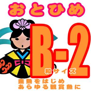 (アクアリウム 用品)　B-2 沈下性：粒０．３６-０．６２mm以下　200g えさ/エサ/観賞魚/餌やり｜fish-y