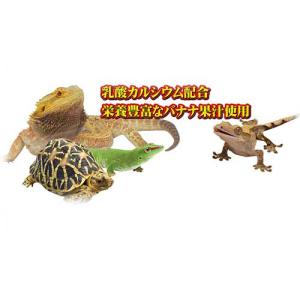 三晃商会 E81レプタイルゼリー No.E81の詳細画像2