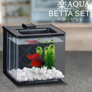 オールインワン　ベーシックベタ【水槽セット】　〜楽アクア〜　生体セット｜fish-y