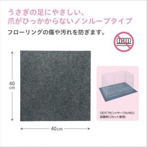 【これだけでOK!セット】7点 うさぎ 飼育セ...の詳細画像2