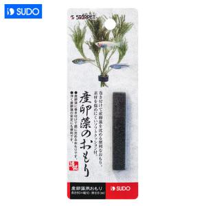 レップジャパン ナラベルトL (14 x 90cm) : 熱帯魚通販のネオス - 通販