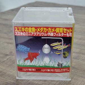 (アクアリウム 用品)プラケース17×17　蓋つき　約４.5Ｌ