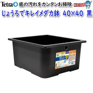 Tetra（テトラ） じょうろでキレイメダカ鉢 40×40 専用フタ : 熱帯魚