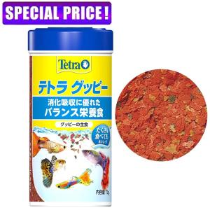 【日曜闇市】テトラ グッピー 75gの商品画像