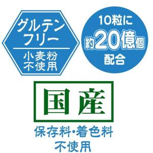 【日曜闇市】ペティオ アドメイト 乳酸菌たまご...の詳細画像2