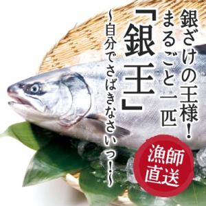 銀鮭の王様、「銀王」まるごと 一匹自分でさばきなさいっ！ / 宮城県女川町から直送 / エラ・内臓・ ウロコ処理済み