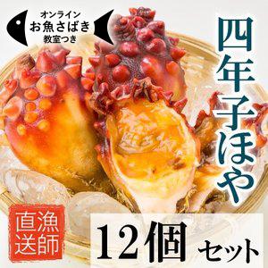 谷川の4年子活ほや12個セット！ / ほやの取扱指南書付き / 石巻鮫ノ浦湾谷川浜産 / 鮮美透涼ほや