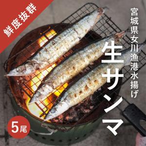 【予約販売】女川港水揚げ　生さんま10尾入り/水揚げ後順次発送/送料無料