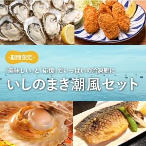【期間限定】　いしのまき潮風セット　石巻の海鮮を楽しもう　おさかなアウトレット便　詰め合わせ　冷凍　コロナ支援商品