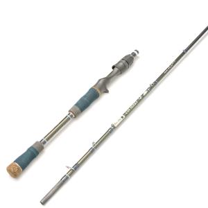 BassAmp C69MHRF ストローセッティングの買取情報