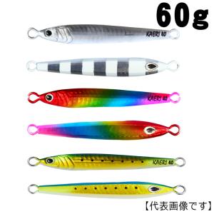 クレイジーオーシャン フラッシュメタボ TG 40g #01 イワシ