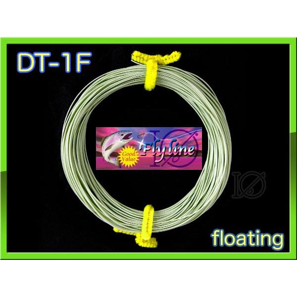 【イオ】フライライン DT-1F moss green Fly line フローティング