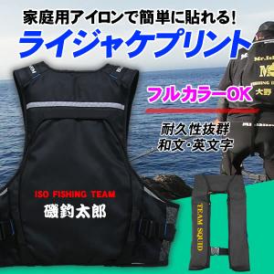 DAIWA（ダイワ） フローティングベスト DF-3607 ブラック M / 救命具