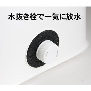 Mr.Ishidai ミスター石鯛 バッカン ...の詳細画像2