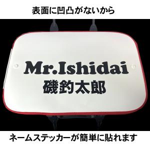 Mr.Ishidai ミスター石鯛 バッカン ...の詳細画像5