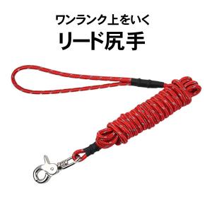 Mr.Ishidai ミスター石鯛 竿用ロープ 尻手 カラビナ付き尻手ロープ3m