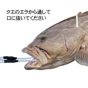 クエストリンガー アラ用ストリンガー クエスト...の詳細画像5