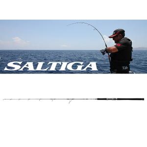 DAIWA（ダイワ） 即納可！ダイワ ロッド シーゲート SEAGATE BJ66HB