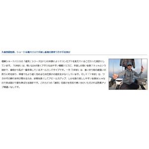 ダイワ 快適ワカサギ仕掛けSS 速攻夜光留め ...の詳細画像1