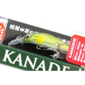 クリックポスト発送）ジャクソン 奏 カナデ 40 / Jackson Kanade