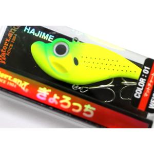 WaterLand（ウォーターランド） ぎょろっち 16g【メール便可】 : 米源