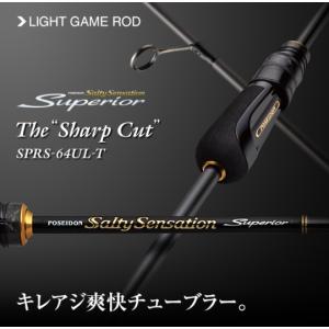 エバーグリーン ゼファーアバンギャルド ZAGS-91UL/L スウィープ