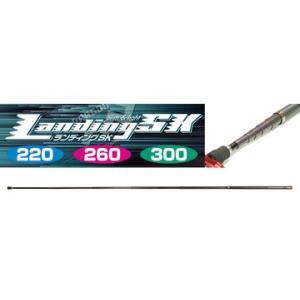 DAIWA（ダイワ） ジギングロッド ソルティガ R (ジギングモデル) J66S