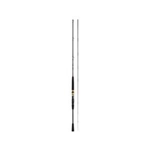 ダイワ(Daiwa) シーフレックス64 50-300・N｜fishing-try