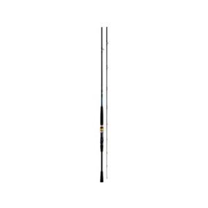 ダイワ(Daiwa) 22シーパワー 73 50-240・N｜fishing-try