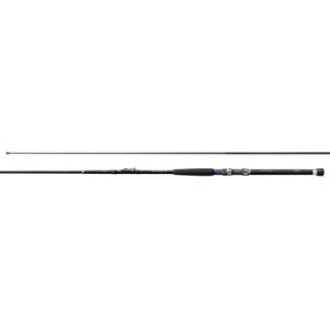 シマノ(SHIMANO) シーウィング73 50-300T3