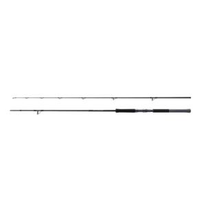 シマノ（SHIMANO） 25 ソルティーアドバンス SHORE JIGGING S96MH