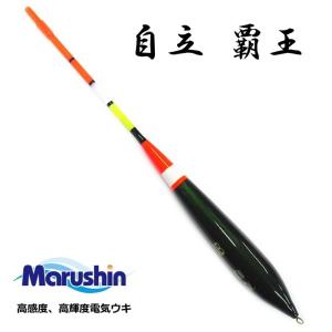 遠投中通しカゴウキ 海幸 磯凪 鉛付 ケミホタル75対応 3-20号 / 磯 波