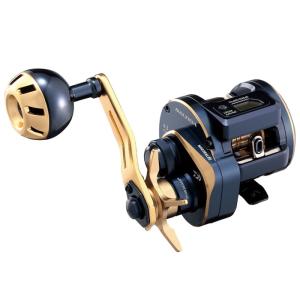 DAIWA（ダイワ） [90] 21 ソルティガ IC 100 右ハンドル (G) : かめや