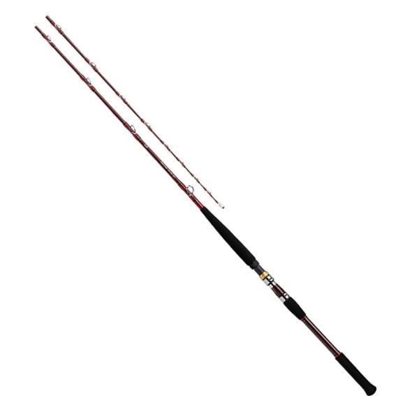 船竿 ダイワ 21 ディープゾーン GS 200-205・R / daiwa / 釣具