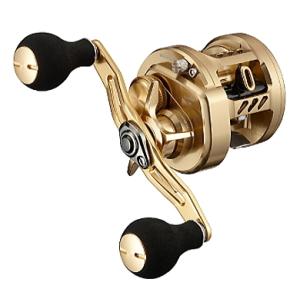 DAIWA（ダイワ） 21 バサラ 200L (左) : ヨコオネット Yahoo!店 - 通販