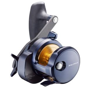 DAIWA（ダイワ） ソルティガ SJ AGS TG ベイトモデル 55B-4 / ジギング