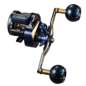 DAIWA（ダイワ） 25 ソルティガ IC 300L-C 左ハンドル / ベイトリール