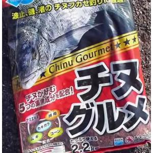 DAIWA（ダイワ） 強力チヌZ 1箱 12袋入り (+5) : 釣人館ますだヤフー店