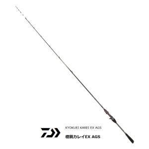 船竿 ダイワ 極鋭カレイ EX AGS 160 / 釣具 / daiwa