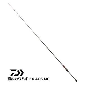 DAIWA（ダイワ） [90] 24 メタリア キス H-170 (G1) : かめや釣具