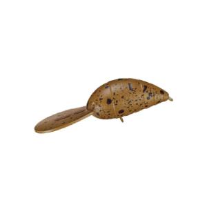 ジャクソン ばたばたマジック 30の買取情報