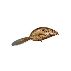 ジャクソン ばたばたマジック 30の買取情報