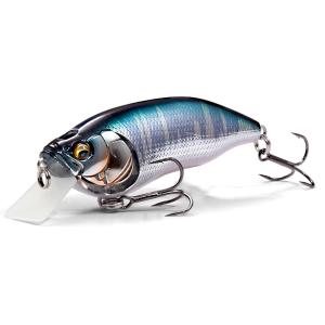 タルイカスッテ EverGreen（エバーグリーン） 【特価品】脇漁具(WAKI) HPタルイカ