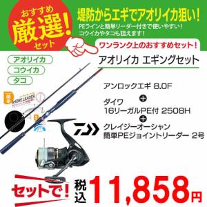 アンロック エギ ダイワリール PE付 ワンランク上のオスス...