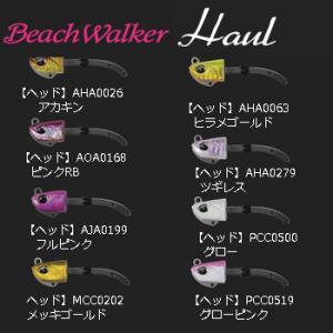 DUO（デュオ） ビーチウォーカー ハウル 27g (ワーム ルアー ヒラメ