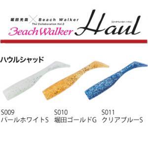 DUO（デュオ） ビーチウォーカー ハウル 27g (ワーム ルアー ヒラメ