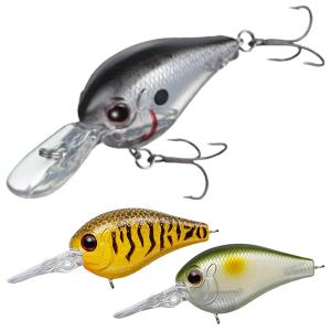 エバーグリーン モード ピッコロ