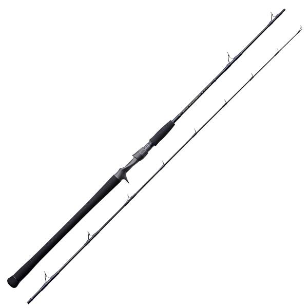 テンリュウ ジグザム ワイルドマーク JWM611B-1/3 (ジギングロッド)(大型商品A)
